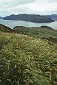 WT 0200 047-07 New Zealand